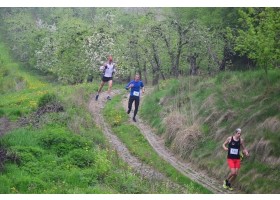  VII Sandomierski Sportowy Weekend Kwitnących Sadów