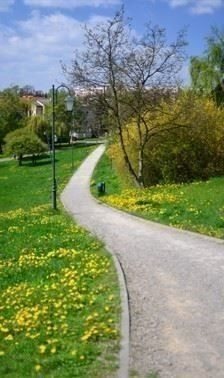 Park Piszczele w Sandomierzu