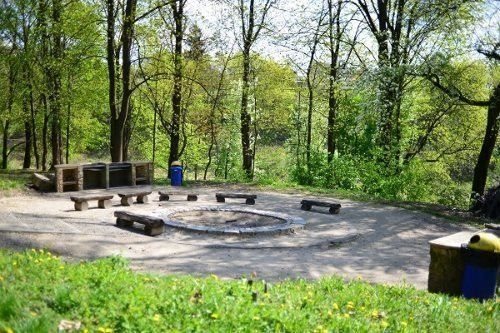 krąg ogniskowy